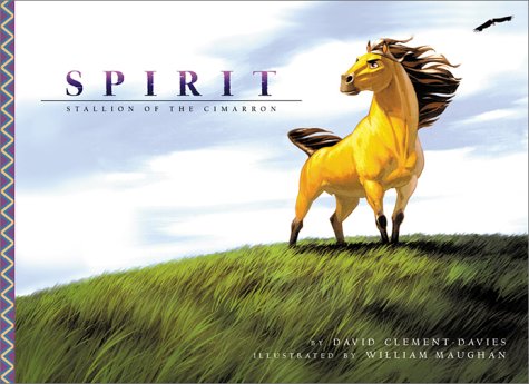 Book cover for Spirit: Picture Book