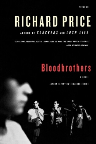 Cover of Bloodbrothers