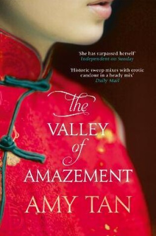 Cover of The Valley of Amazement