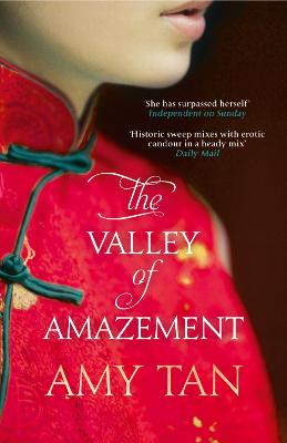 Book cover for The Valley of Amazement