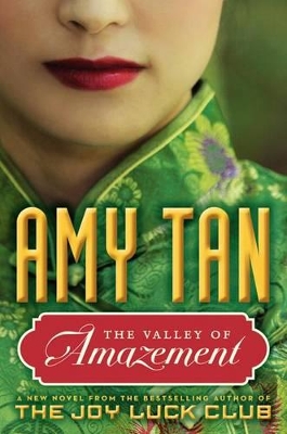 Book cover for The Valley of Amazement