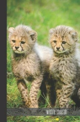 Cover of wildlife cheetah