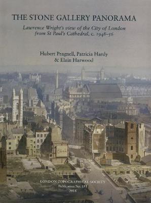Book cover for The Stone Gallery Panorama