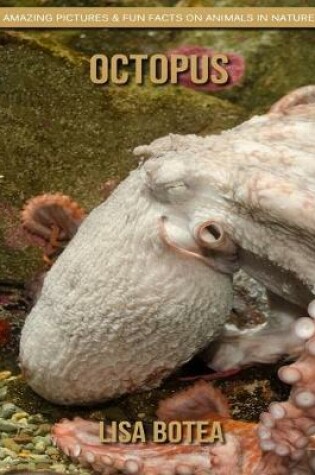 Cover of Octopus