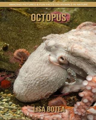 Book cover for Octopus