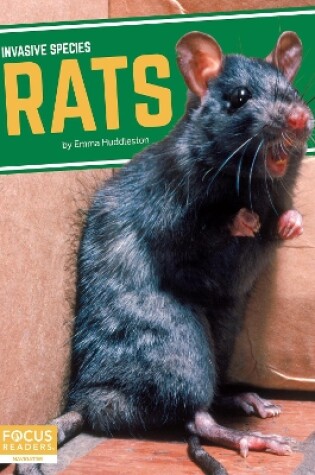 Cover of Invasive Species: Rats