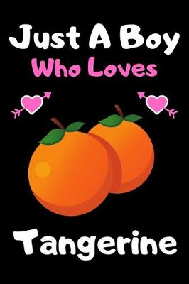 Book cover for Just a boy who loves tangerine