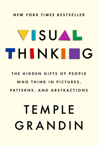 Book cover for Visual Thinking