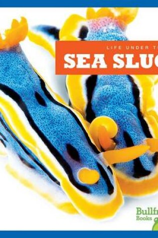 Cover of Sea Slugs