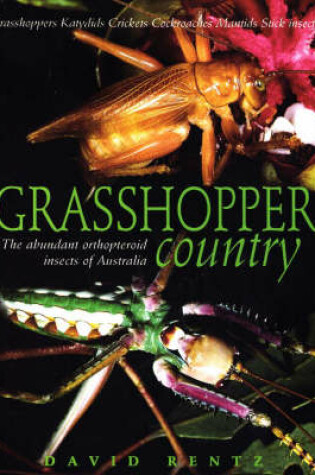 Cover of Grasshopper Country