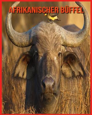 Book cover for Afrikanischer Büffel