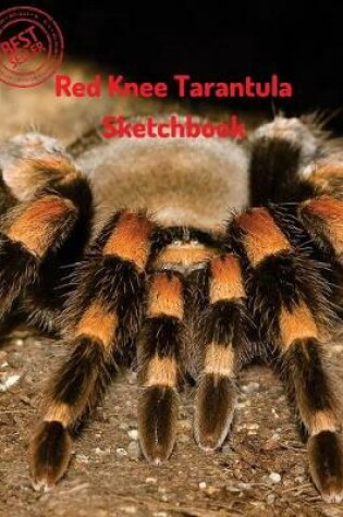 Cover of Red Knee Tarantula Sketchbook