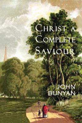 Book cover for Christ a Complete Saviour