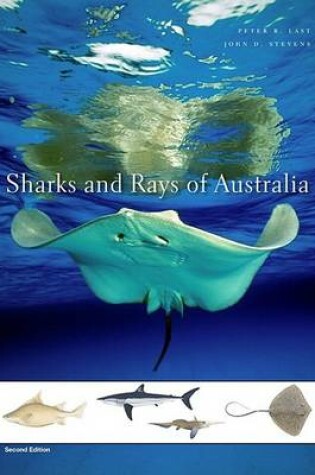 Cover of Sharks and Rays of Australia