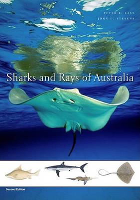 Book cover for Sharks and Rays of Australia