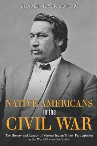 Cover of Native Americans in the Civil War