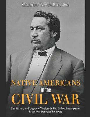 Book cover for Native Americans in the Civil War