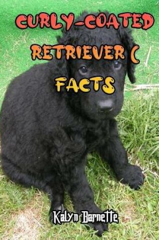 Cover of Curly-Coated Retriever Facts