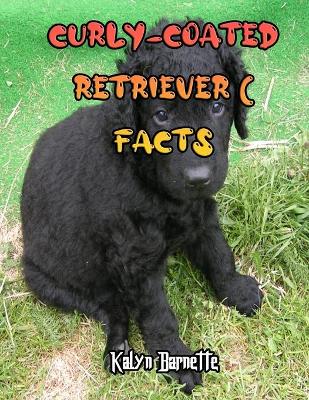 Book cover for Curly-Coated Retriever Facts