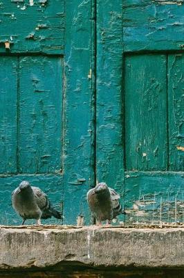 Book cover for Pigeons by a Rustic Turquoise Door