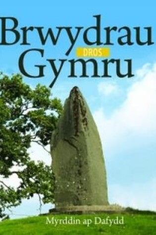 Cover of Cyfres Celc Cymru: Brwydrau dros Gymru