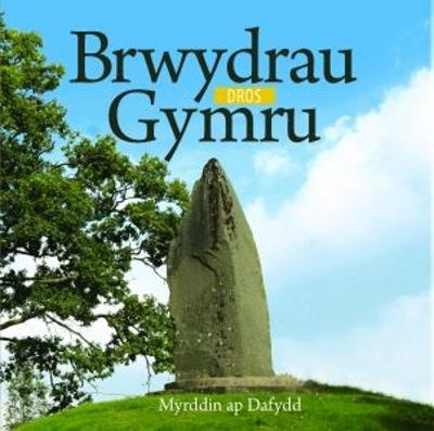 Book cover for Cyfres Celc Cymru: Brwydrau dros Gymru