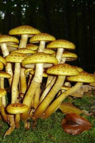 Cover of Mushrooms in the Bavarian Forest