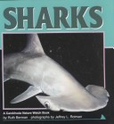 Book cover for Sharks