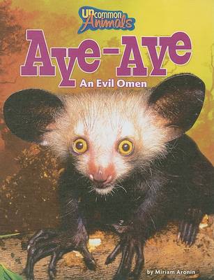 Book cover for Aye-Aye