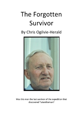 Book cover for The Forgotten Survivor