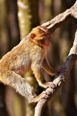 Book cover for Barbary Macaque Climbing a Tree Journal