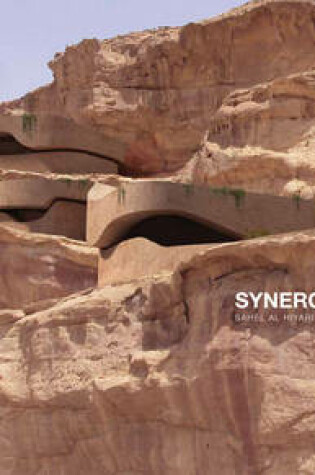 Cover of Synergies