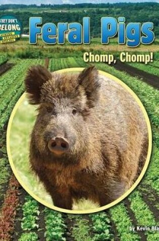 Cover of Feral Pigs