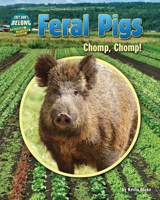 Book cover for Feral Pigs
