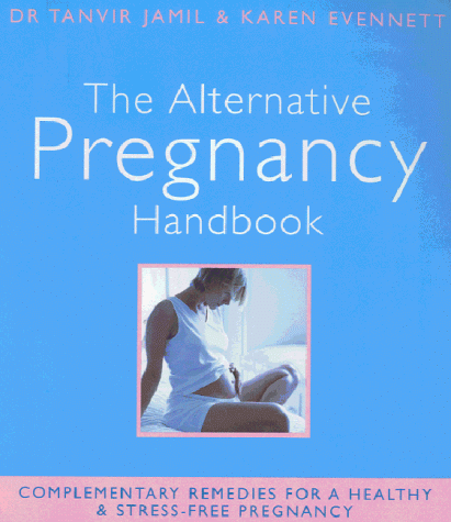 Book cover for The Alternative Pregnancy Handbook