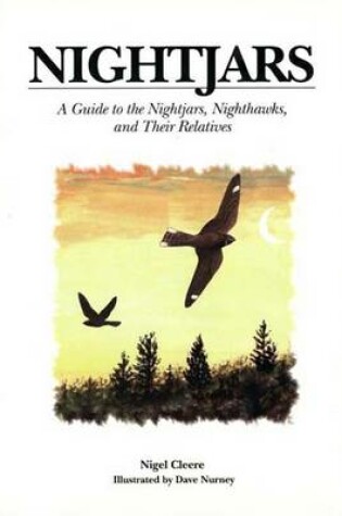 Cover of Nightjars