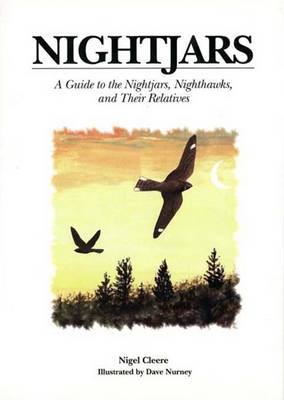 Cover of Nightjars