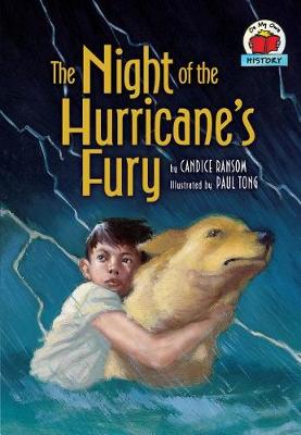Book cover for The Night of the Hurricane's Fury