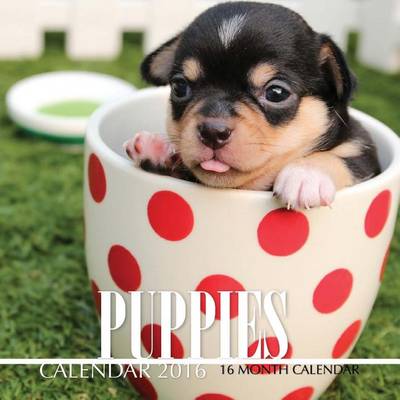 Book cover for Puppies Calendar 2016