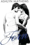 Book cover for Torn