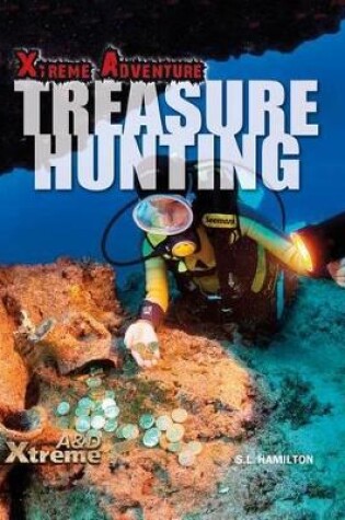 Cover of Treasure Hunting