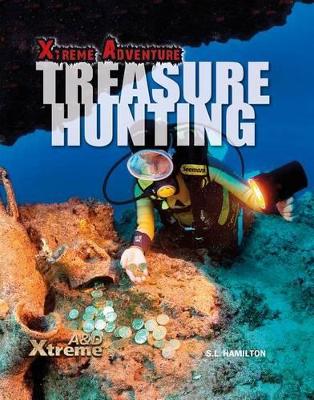 Book cover for Treasure Hunting