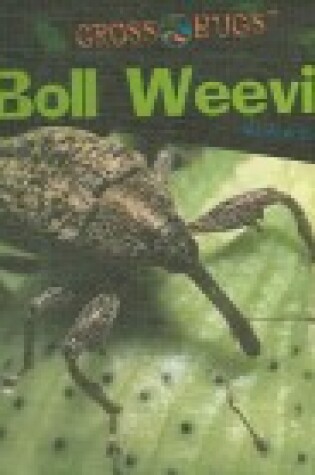 Cover of Boll Weevils