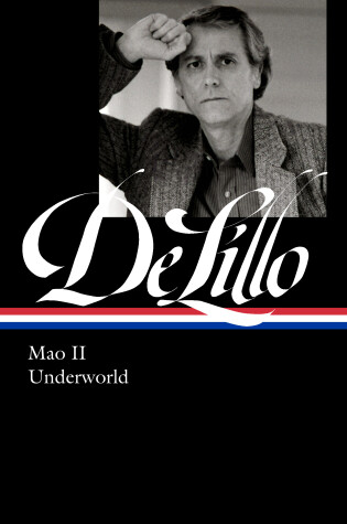 Cover of Don DeLillo: Mao II & Underworld
