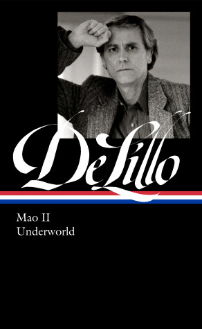 Cover of Don DeLillo: Mao II & Underworld
