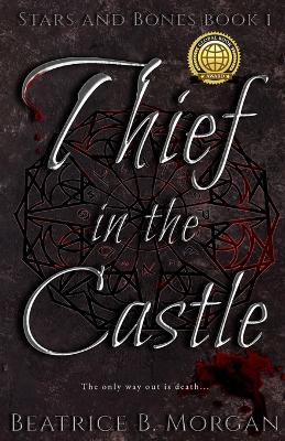 Book cover for Thief in the Castle