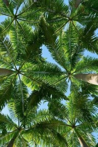 Cover of View from my Hammock Palm Trees Tropical Vacation Journal