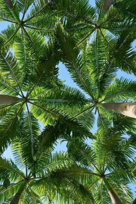 Book cover for View from my Hammock Palm Trees Tropical Vacation Journal