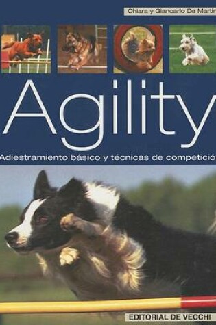 Cover of Agility