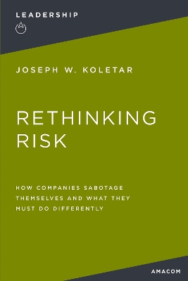 Book cover for Rethinking Risk